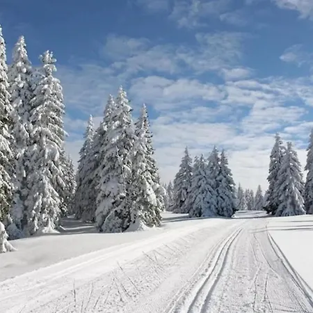 Pod Plesivcem Abertamy