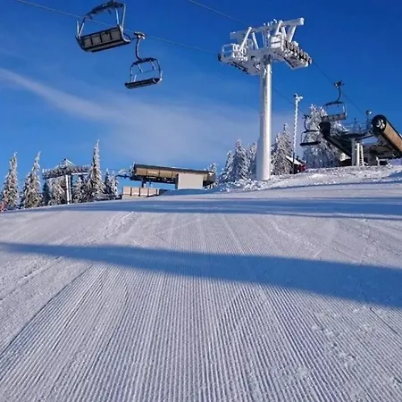 Pod Plesivcem Chalet Abertamy