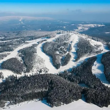 Pod Plesivcem Chalet *