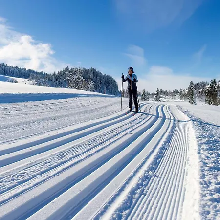 Alpesi faház Pod Plesivcem Abertamy