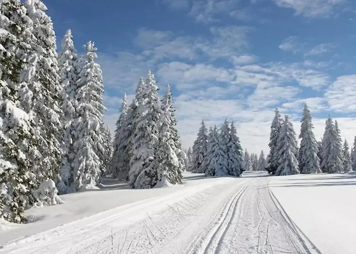 Pod Plesivcem Abertamy