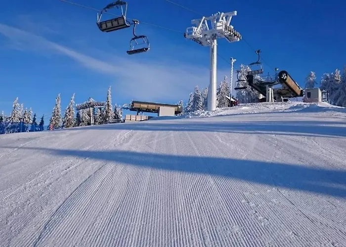 Pod Plesivcem Domek alpejski Abertamy