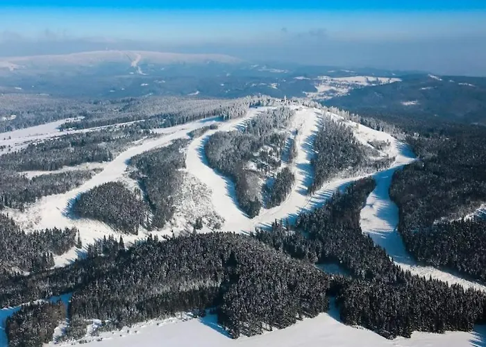 Pod Plesivcem Domek alpejski *